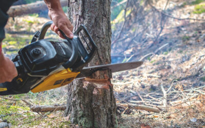 How Do You Handle Trees That Are Close to Power Lines or Structures?