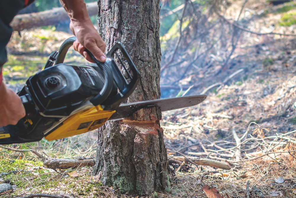 How Do You Handle Trees That Are Close to Power Lines or Structures?